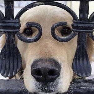 Meet your Posher, Doug